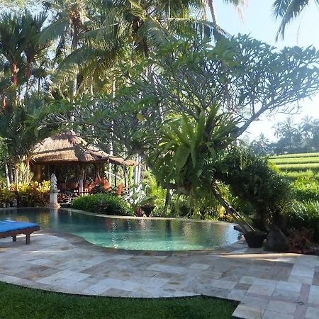 Villa Orchid Bali Убуд Экстерьер фото