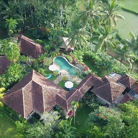 Villa Orchid Bali Убуд Экстерьер фото