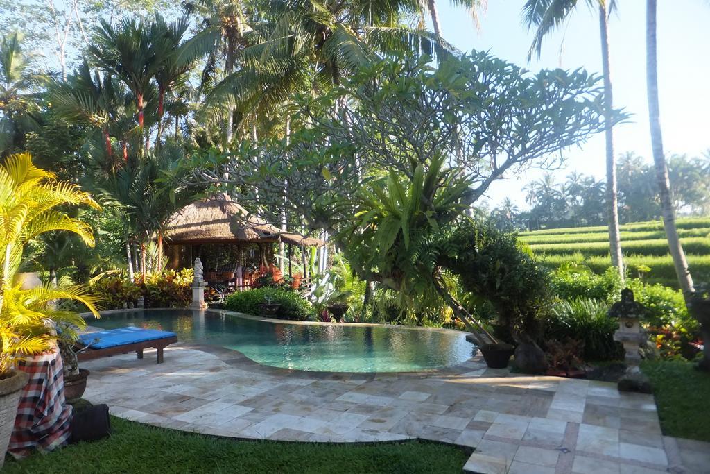 Villa Orchid Bali Убуд Экстерьер фото