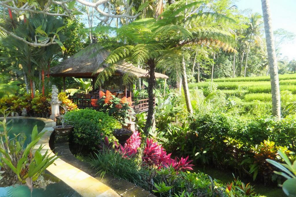 Villa Orchid Bali Убуд Экстерьер фото