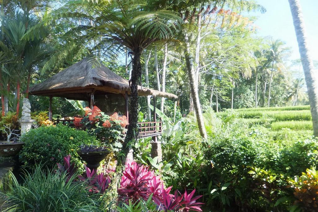 Villa Orchid Bali Убуд Экстерьер фото
