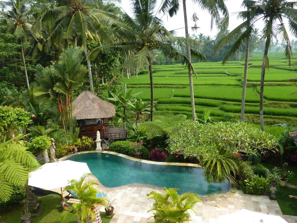 Villa Orchid Bali Убуд Экстерьер фото