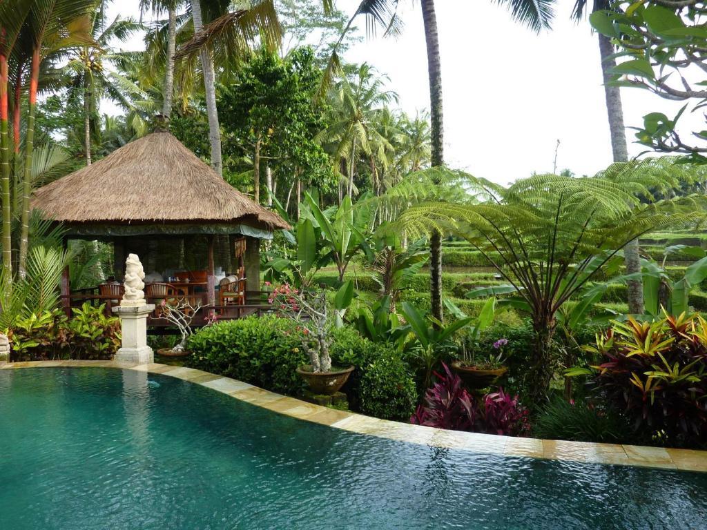 Villa Orchid Bali Убуд Экстерьер фото