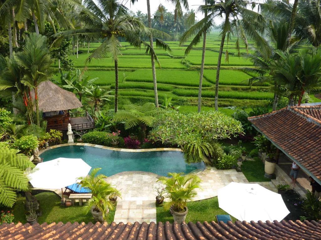 Villa Orchid Bali Убуд Экстерьер фото