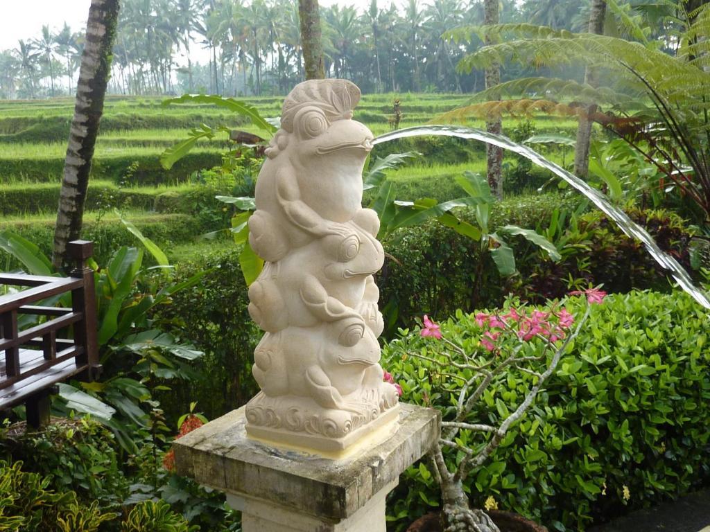 Villa Orchid Bali Убуд Экстерьер фото