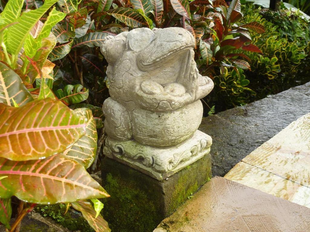 Villa Orchid Bali Убуд Экстерьер фото
