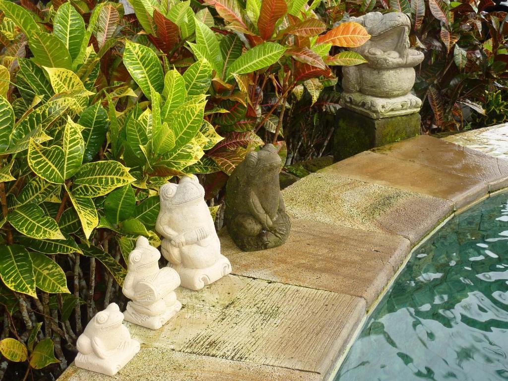 Villa Orchid Bali Убуд Экстерьер фото