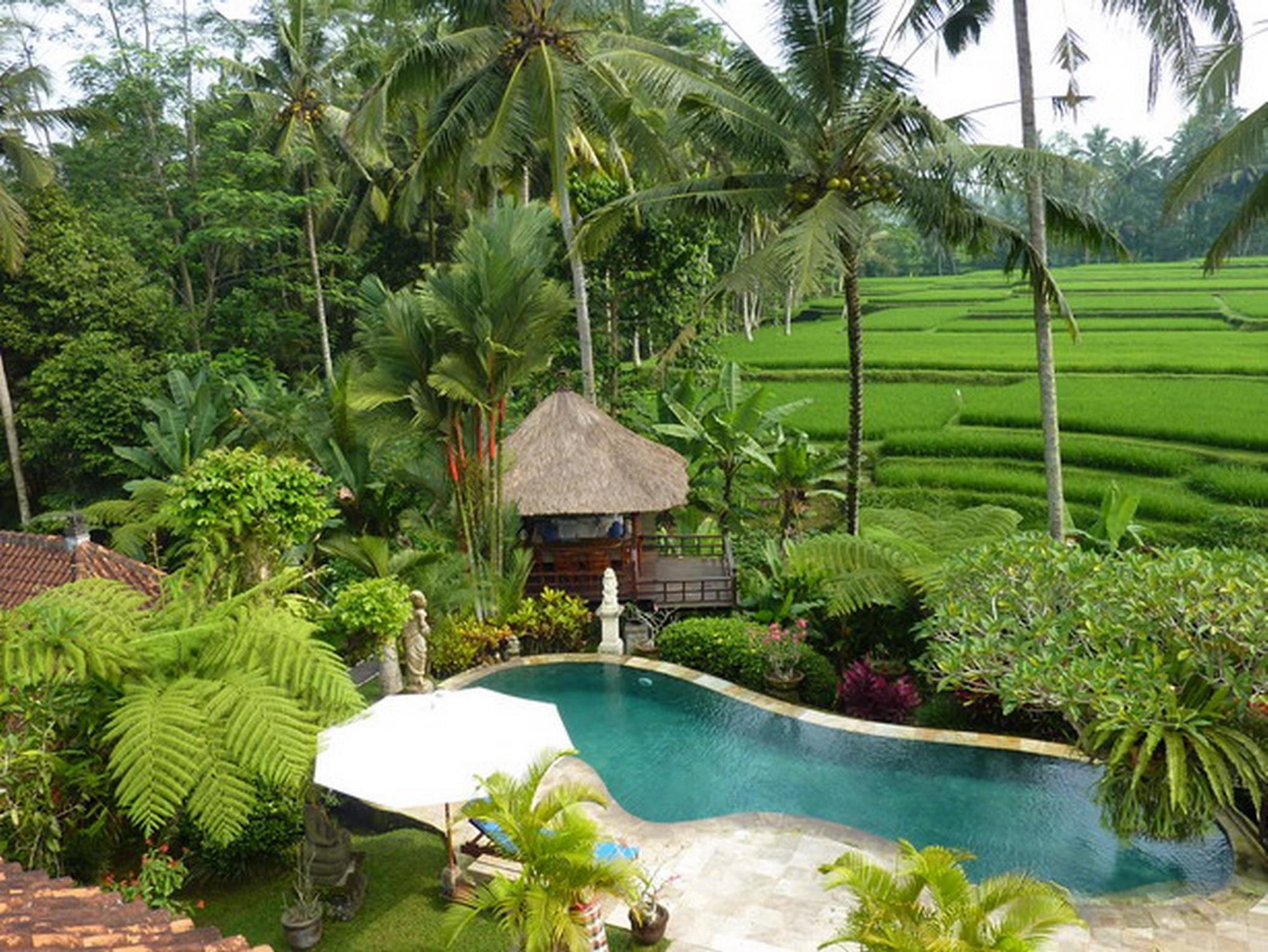 Villa Orchid Bali Убуд Экстерьер фото