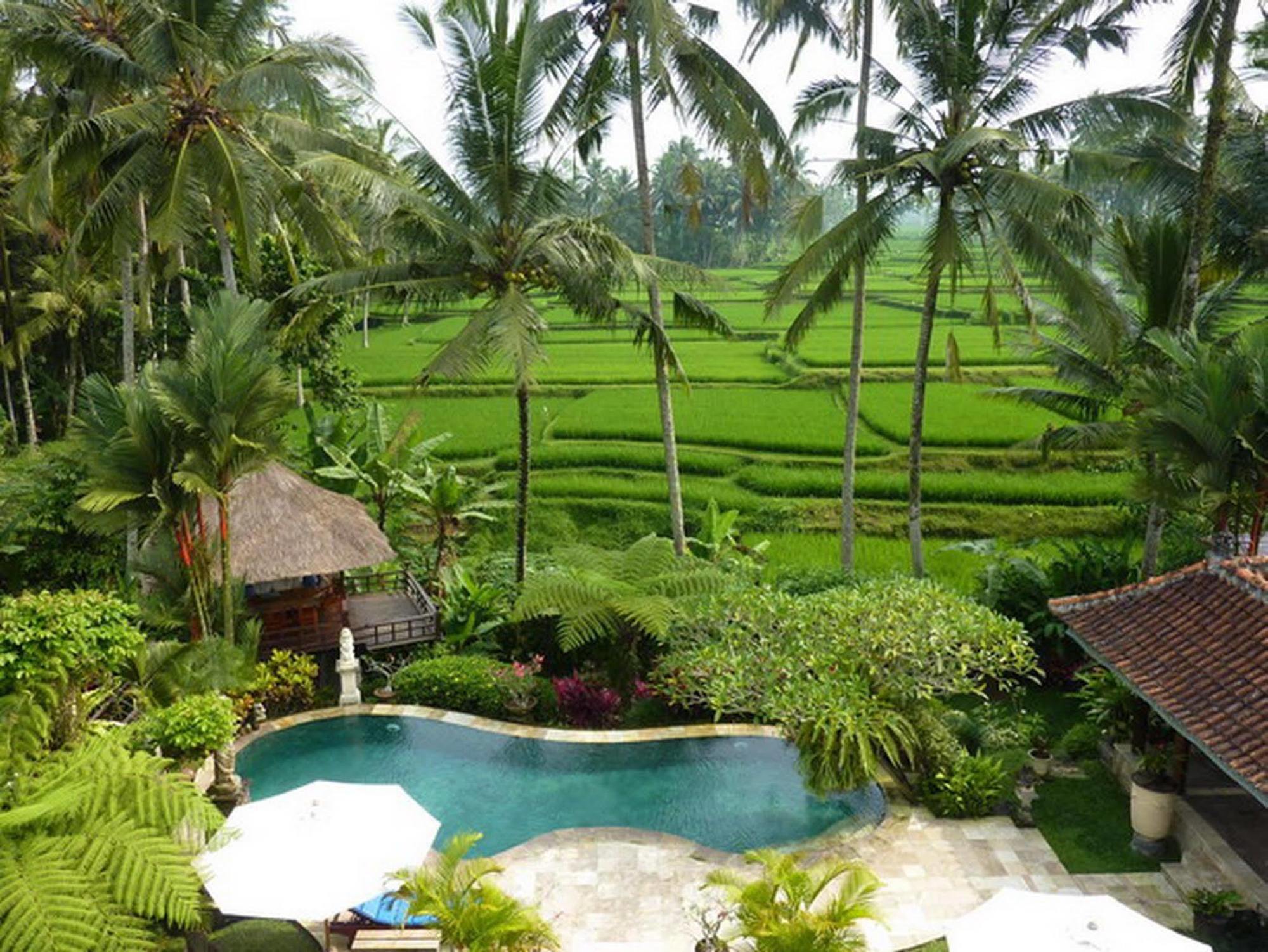 Villa Orchid Bali Убуд Экстерьер фото
